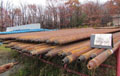 Chicago Pneumatic 4-1/2" X 30' ft Drill Pipe Chicago Pneumatic 4-1/2" X 30' ft Drill Pipe Image