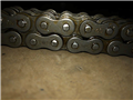 New #40 Double Roller Chain - per inch Generic 40RCD Image