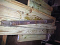 Ingersoll-Rand / Atlas Copco 51785566 / 90516039 - SOLD Ingersoll-Rand 51785566 / 90516039 Image