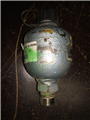 14280.3.jpg CAT PUMPS 6029 S.S. Prrrrr-O-Lator Adjustable Precharge Pulsation Dampener - SOLD Cat