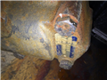 8802.2.jpg 104-3087-006 Hydraulic Motor Generic