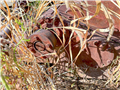 61217.10.jpg Gardner Denver 4 X 5 FF FXF Mud Pump Gardner Denver