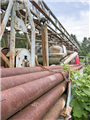 72469.20.jpg Davey M8A Table Drive Drill Rig Davey