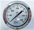 75825.2.jpg 3,000 PSI Liquid-Filled 4" Panel-Mount Pressure Gauge Generic